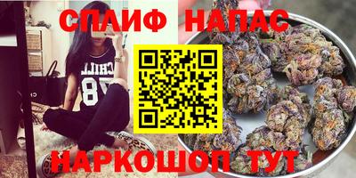 твердый Пугачёв