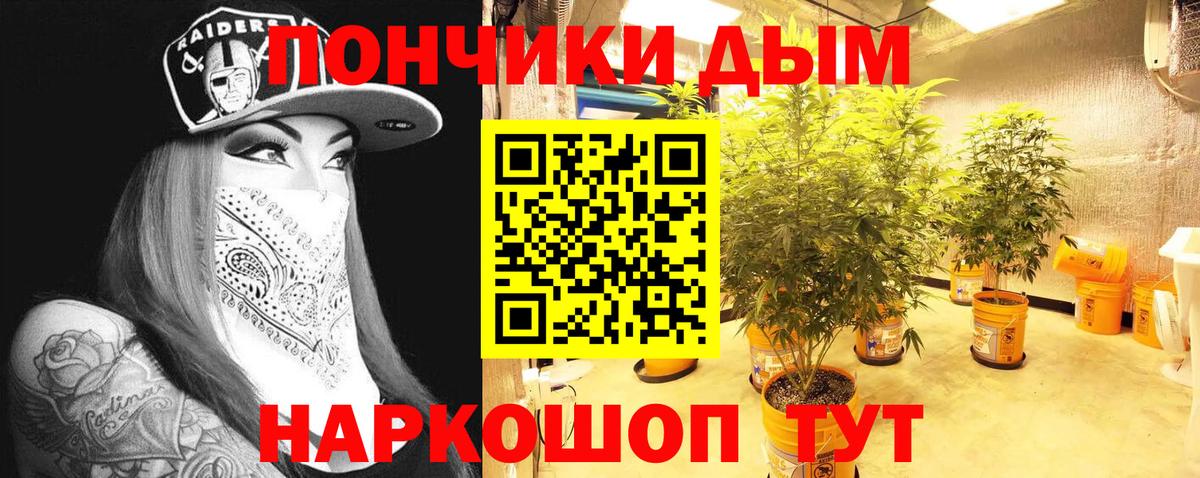 Каннабис сатива Севастополь